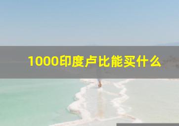 1000印度卢比能买什么