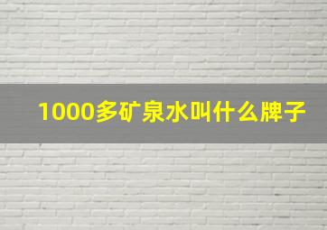 1000多矿泉水叫什么牌子