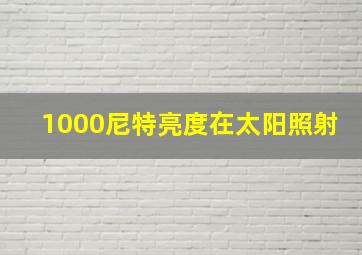 1000尼特亮度在太阳照射