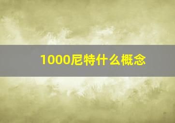 1000尼特什么概念