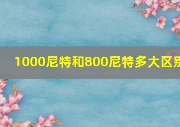 1000尼特和800尼特多大区别