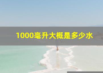 1000毫升大概是多少水