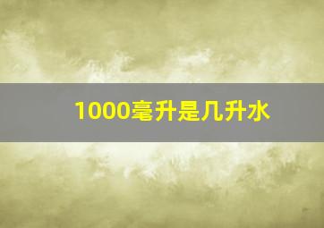 1000毫升是几升水