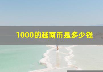 1000的越南币是多少钱