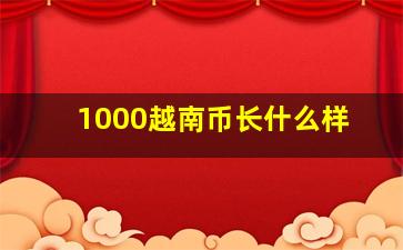 1000越南币长什么样