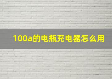 100a的电瓶充电器怎么用