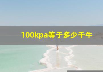 100kpa等于多少千牛