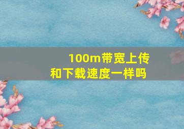 100m带宽上传和下载速度一样吗