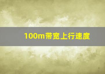 100m带宽上行速度