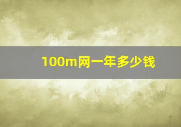 100m网一年多少钱