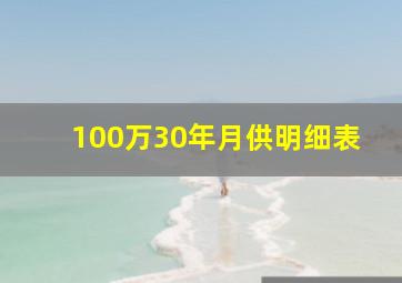 100万30年月供明细表