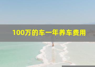 100万的车一年养车费用