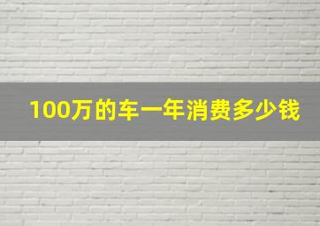 100万的车一年消费多少钱