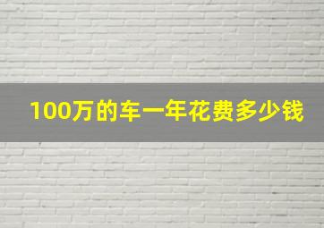 100万的车一年花费多少钱