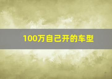 100万自己开的车型