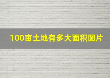 100亩土地有多大面积图片