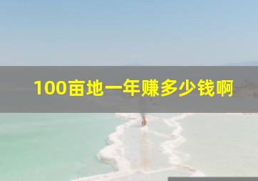 100亩地一年赚多少钱啊