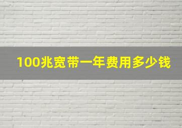 100兆宽带一年费用多少钱