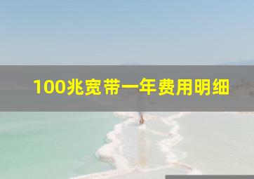 100兆宽带一年费用明细