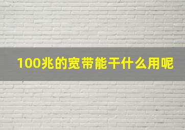 100兆的宽带能干什么用呢