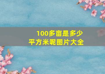 100多亩是多少平方米呢图片大全