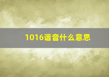 1016谐音什么意思