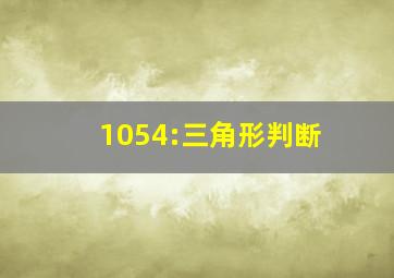 1054:三角形判断