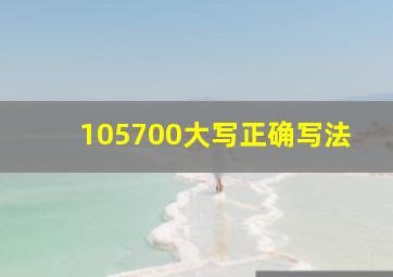 105700大写正确写法