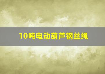 10吨电动葫芦钢丝绳