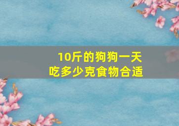 10斤的狗狗一天吃多少克食物合适