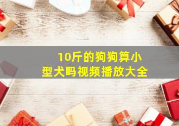 10斤的狗狗算小型犬吗视频播放大全