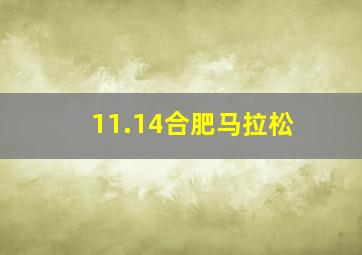 11.14合肥马拉松