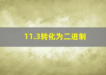 11.3转化为二进制