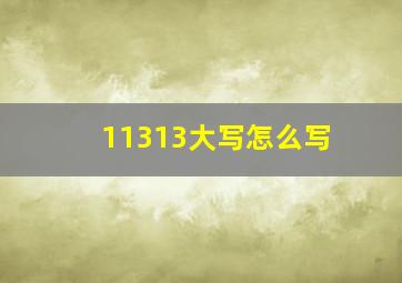 11313大写怎么写