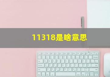 11318是啥意思