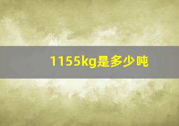 1155kg是多少吨