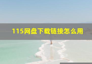 115网盘下载链接怎么用