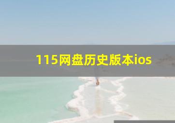 115网盘历史版本ios