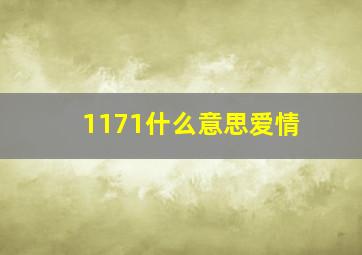 1171什么意思爱情