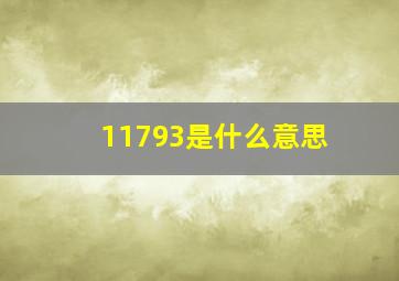 11793是什么意思