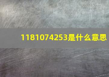 1181074253是什么意思