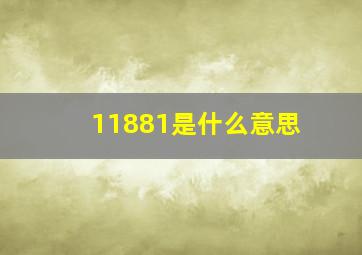 11881是什么意思