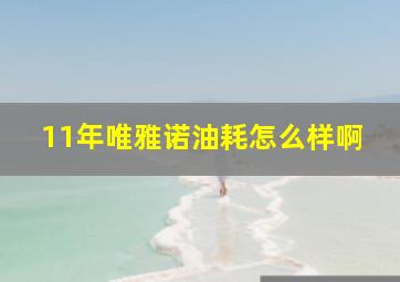 11年唯雅诺油耗怎么样啊