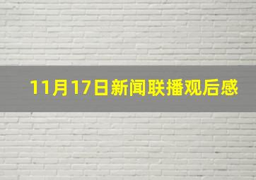 11月17日新闻联播观后感