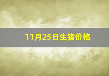 11月25日生猪价格