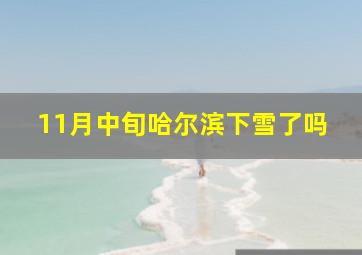 11月中旬哈尔滨下雪了吗