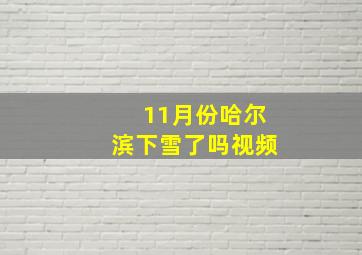 11月份哈尔滨下雪了吗视频