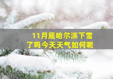 11月底哈尔滨下雪了吗今天天气如何呢