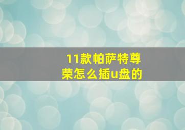 11款帕萨特尊荣怎么插u盘的