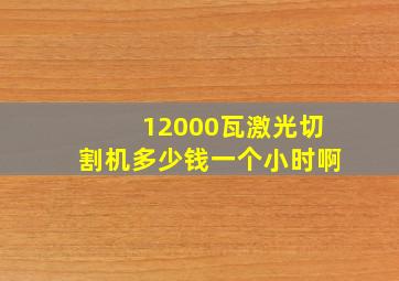 12000瓦激光切割机多少钱一个小时啊